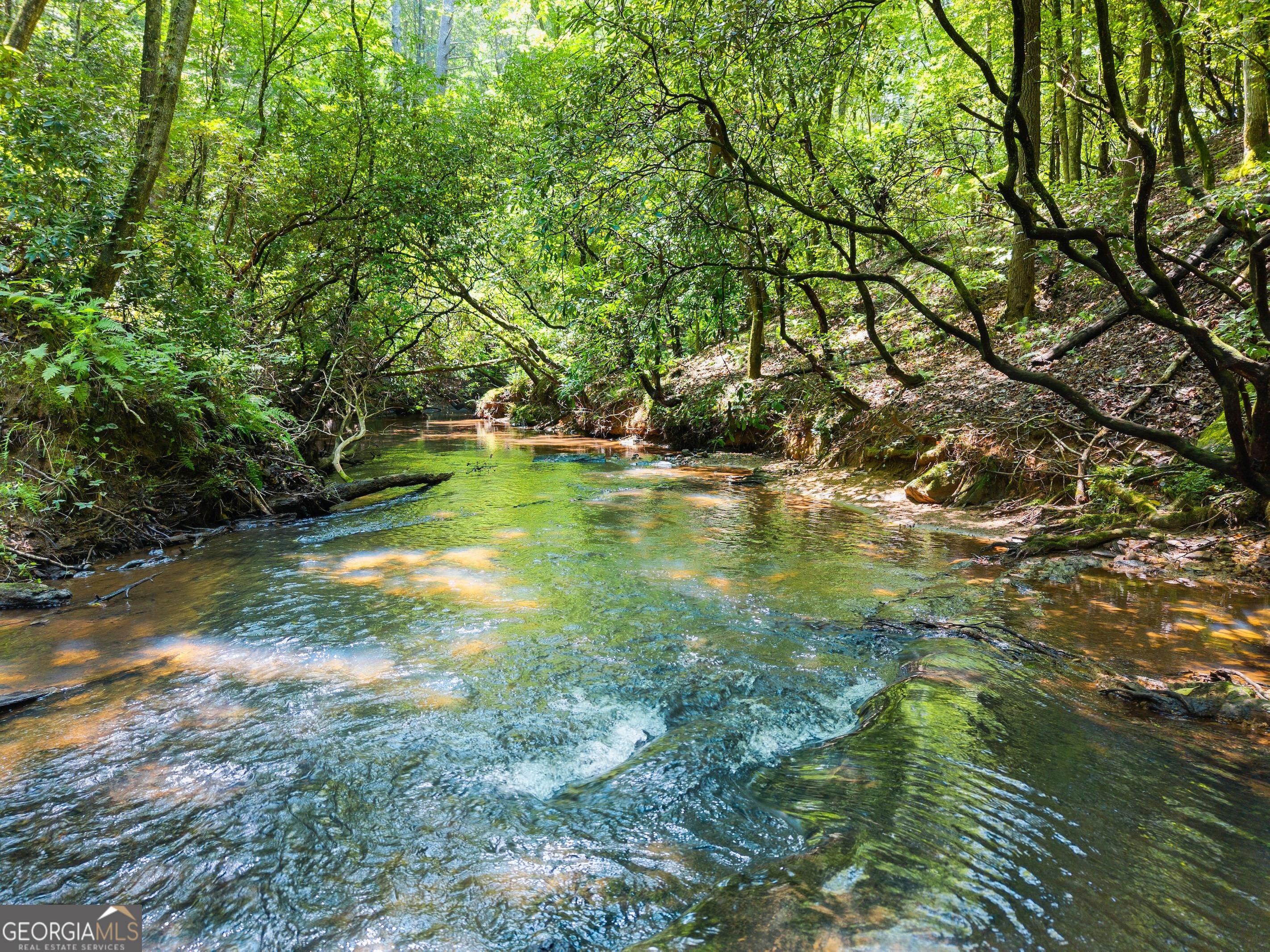 Greg Adams, Realtor in Cleveland, GA (4)