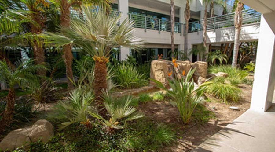 Tae Kim & Associates CPAs, P.C. in Murrieta, CA (2)