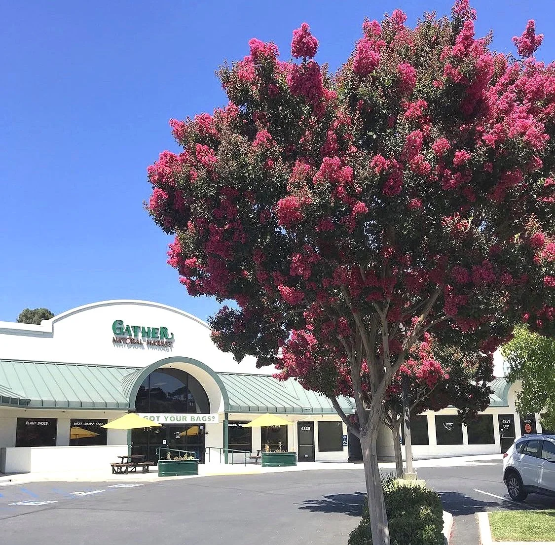 Legends Salon in Atascadero, CA (2)