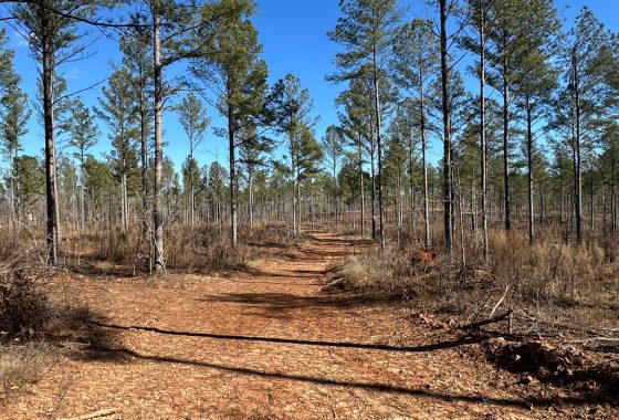 Shivers Real Estate Investments, Inc in Waynesboro, GA