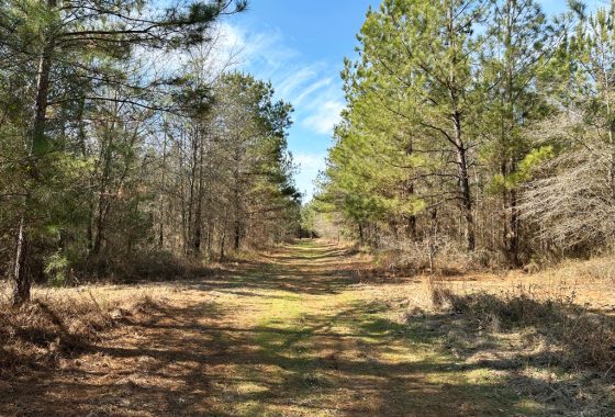 Shivers Real Estate Investments, Inc in Waynesboro, GA (2)