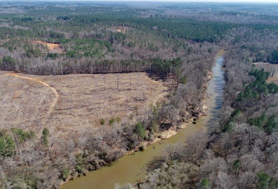 Shivers Real Estate Investments, Inc in Waynesboro, GA (4)