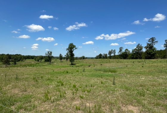 Shivers Real Estate Investments, Inc in Waynesboro, GA (6)