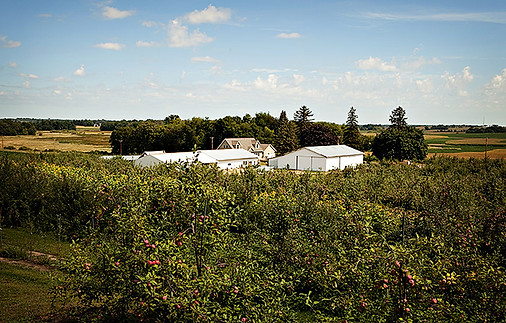 Lapacek's Orchard in Poynette, WI (5)