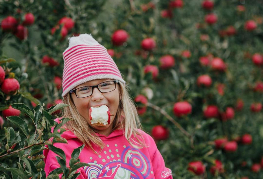 Lapacek's Orchard in Poynette, WI (6)