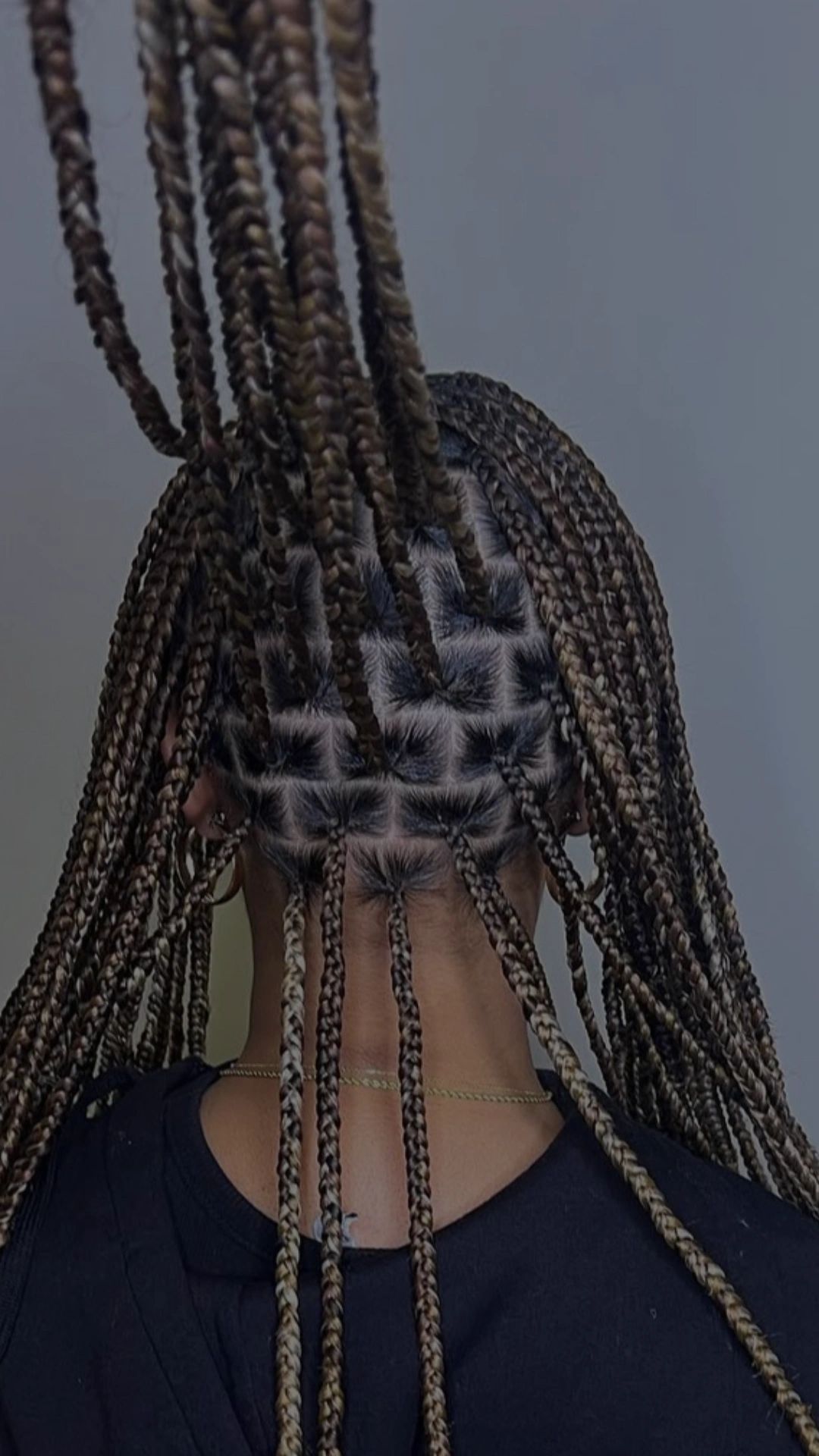 ShanaSlays Lux Salon- Raleigh Extensions + Braiding in Raleigh, NC (4)