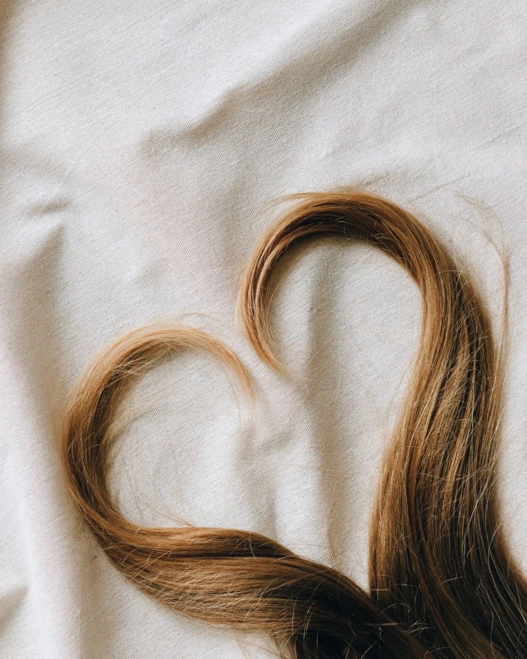 ShanaSlays Lux Salon- Raleigh Extensions + Braiding in Raleigh, NC (6)