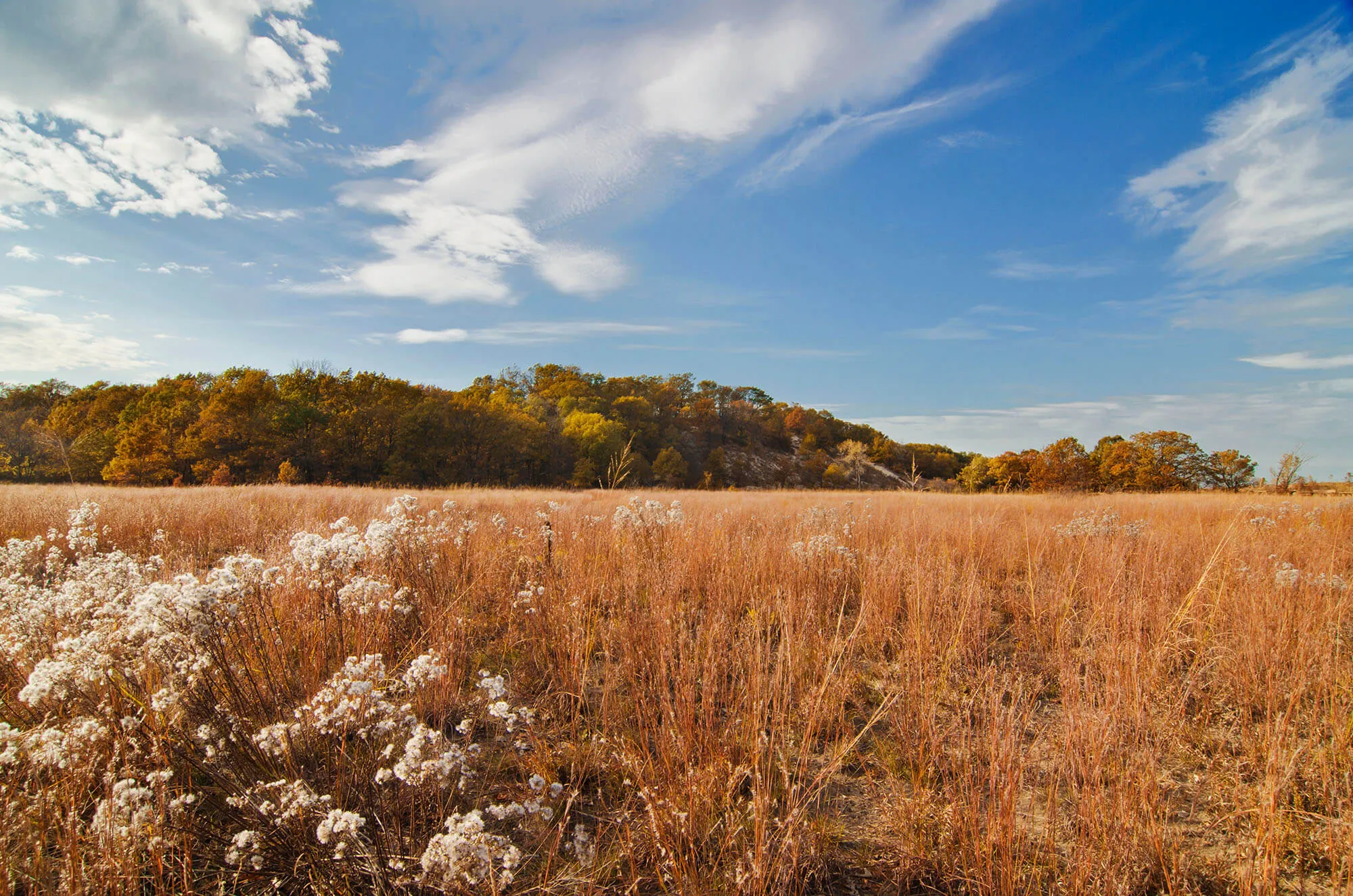 Baker Retirement & Wealth Management, P. C. in Boonville, IN (2)