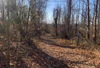 All Seasons Real Estate Services in Elkins, WV