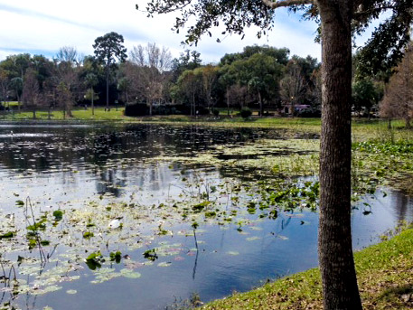 Anne Rogers Realty Group, Inc in Orlando, FL (4)