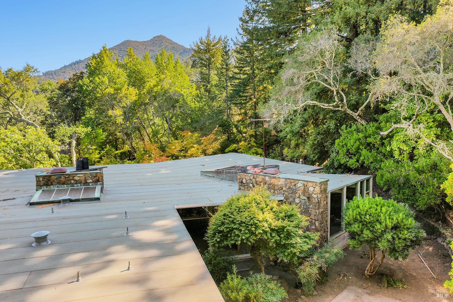 Boulevard Real Estate | Bitsa Freeman, Founder and Top Producing Marin County Real Estate Agent in Nicasio, CA (4)