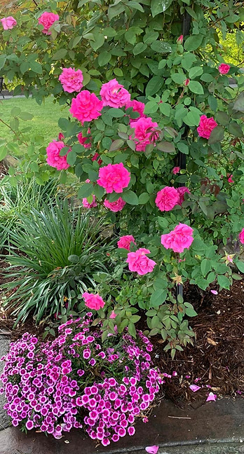 Main Street Portsmouth In Bloom in Portsmouth, OH