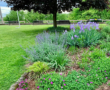 Main Street Portsmouth In Bloom in Portsmouth, OH (3)