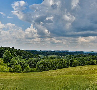 Louise Baker, Realtor in Blacksburg, VA (6)