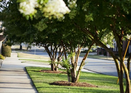 The Slocumb Company in Moultrie, GA (6)
