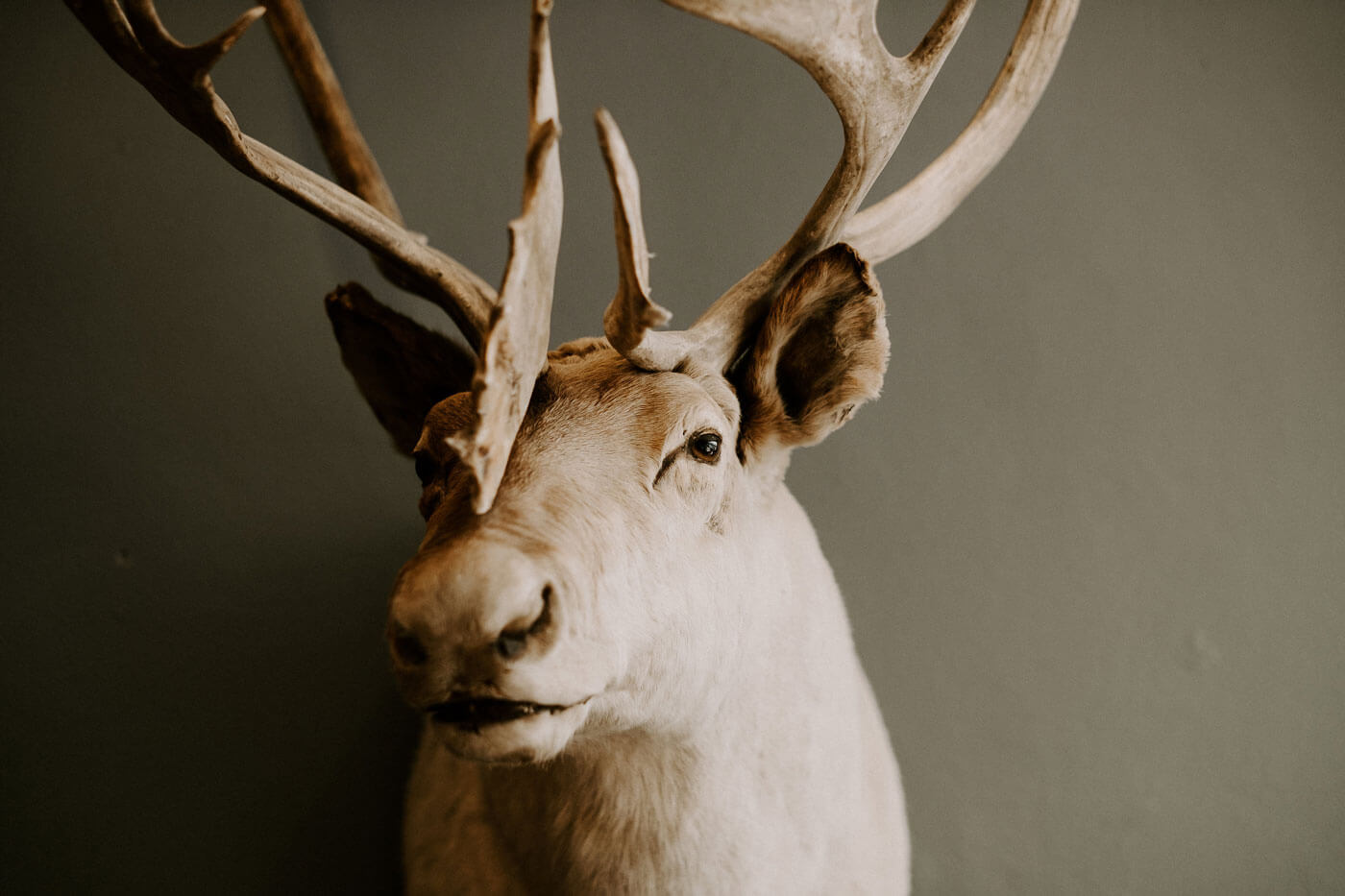 Stag Barbershop in Milwaukee, WI (3)