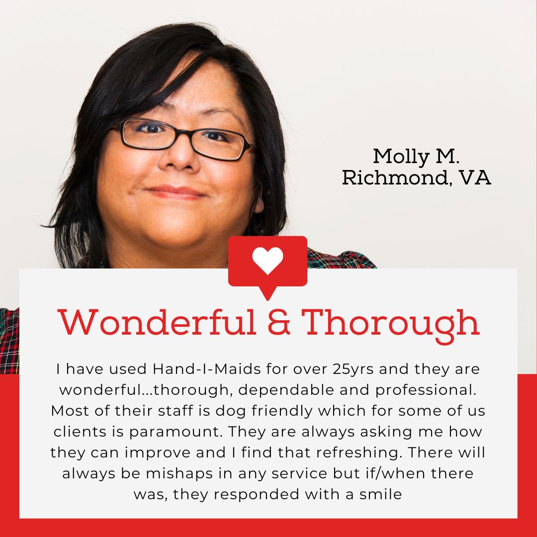 HandiMaids Inc in Midlothian, VA (4)