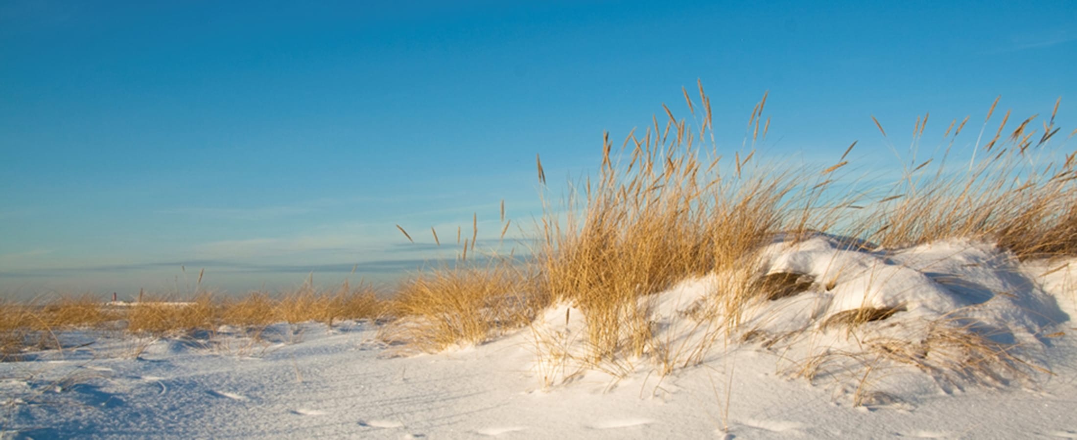 John JD Hallam Perdido Key Resort Realty Real Estate Broker in Pensacola, FL (5)