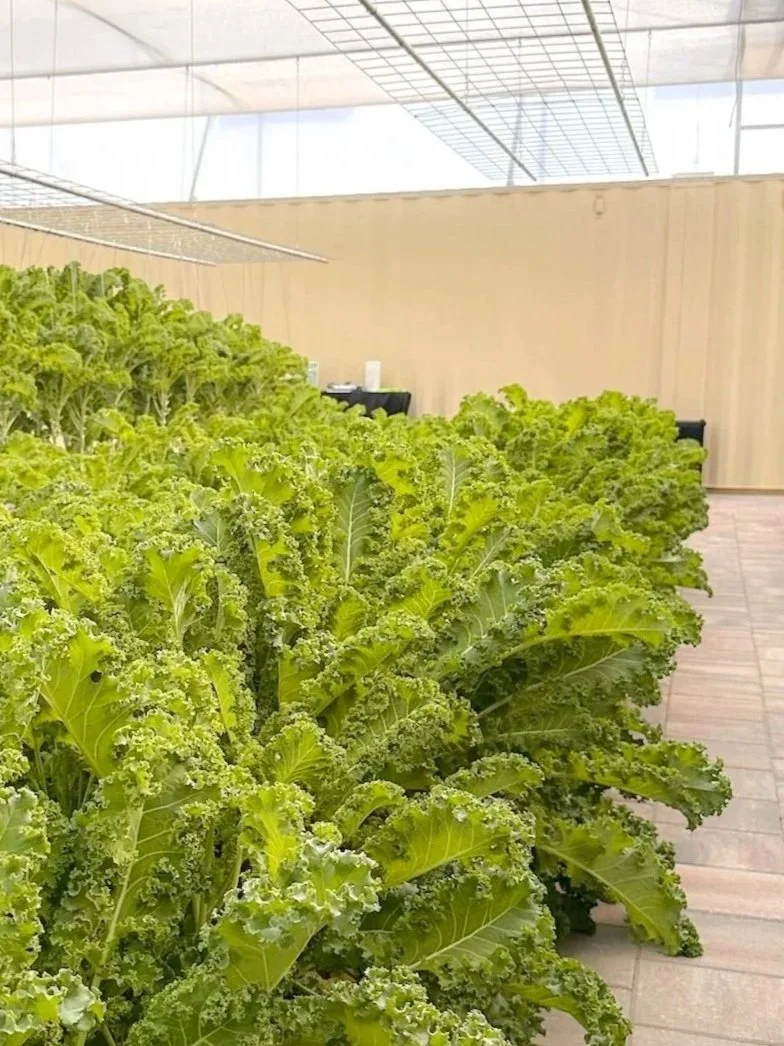 Oxford Family Farms in Howey-In-The-Hills, FL (6)