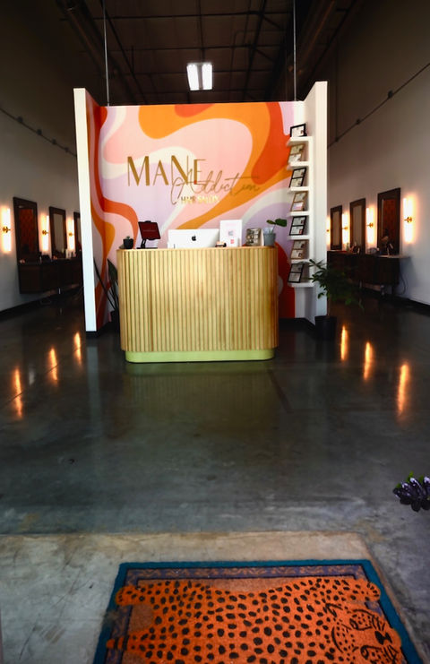 Mane Addiction Hair Salon in Webster, TX (6)