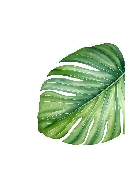 Green Leaf Cleaning LLC in St. Petersburg, FL (2)