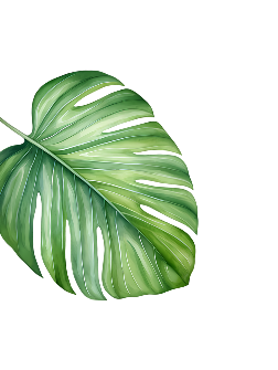 Green Leaf Cleaning LLC in St. Petersburg, FL (4)