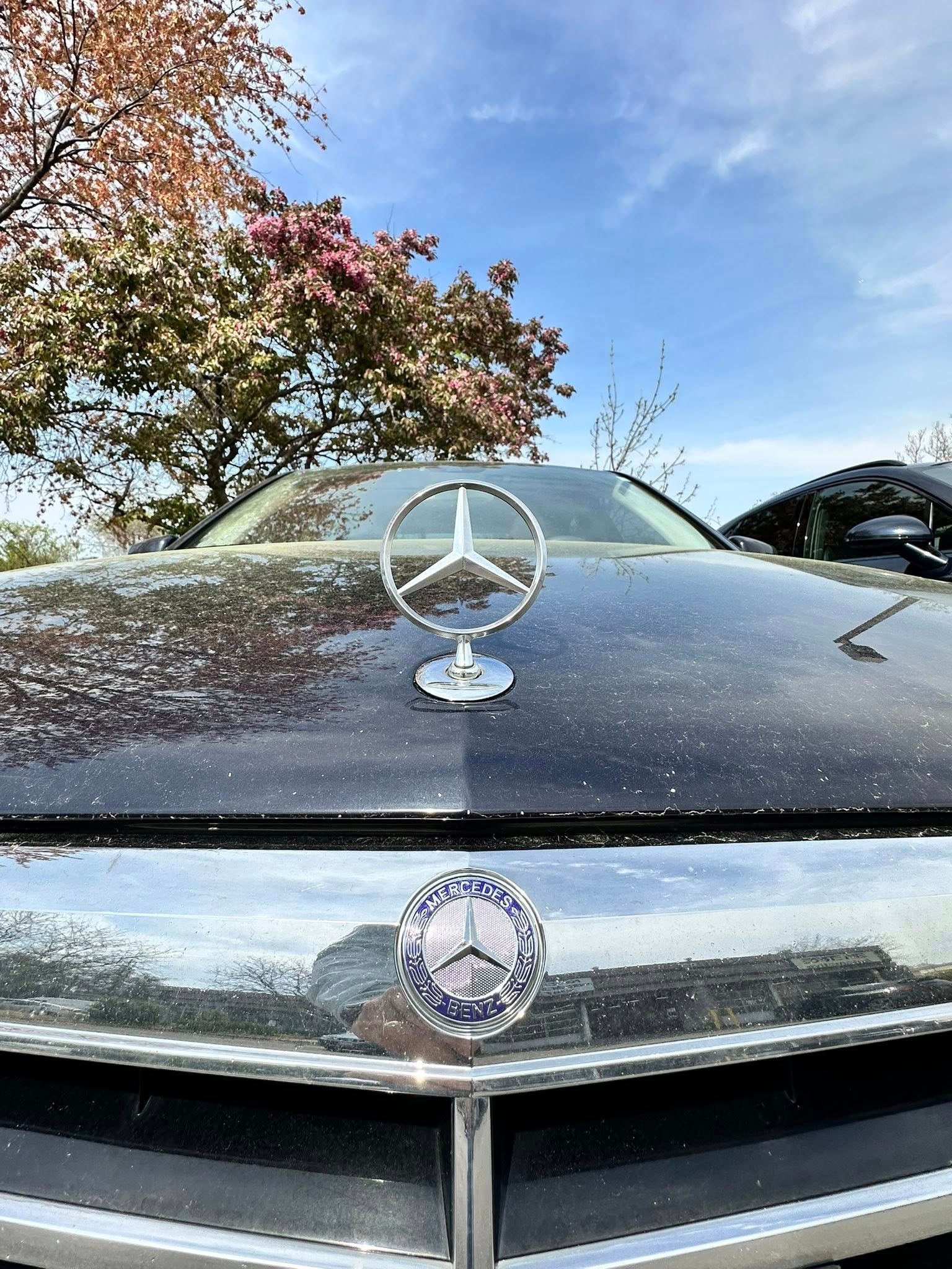 Tri Tec Automotive Inc in Annapolis, MD (2)