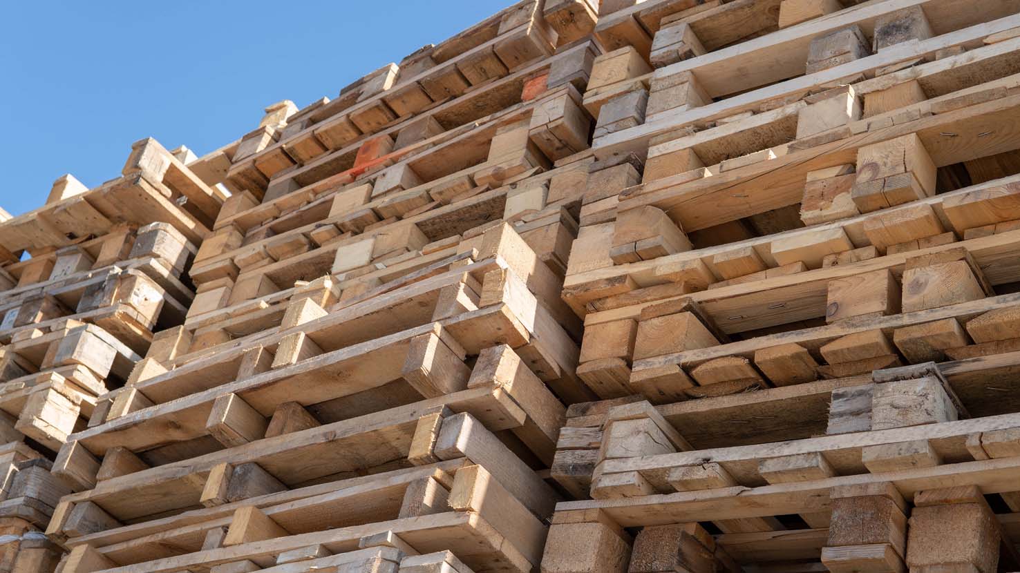 LNT Pallet Company Inc in Spartanburg, SC (3)