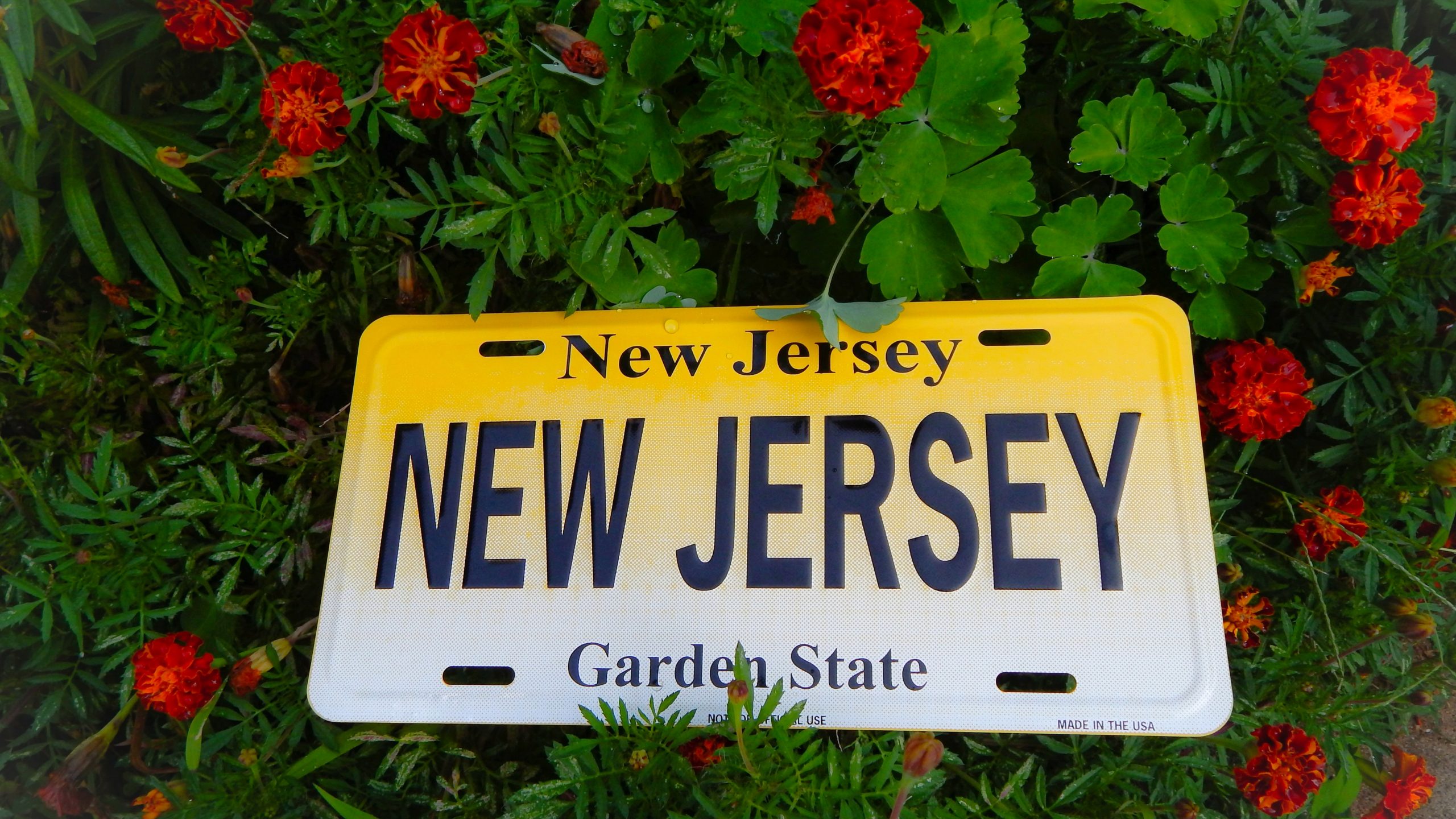 Peter Cunha Real Estate Team in Belford, NJ