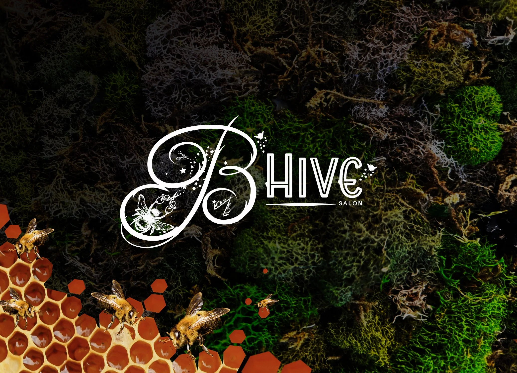 B Hive Salon in Chesapeake, VA (6)