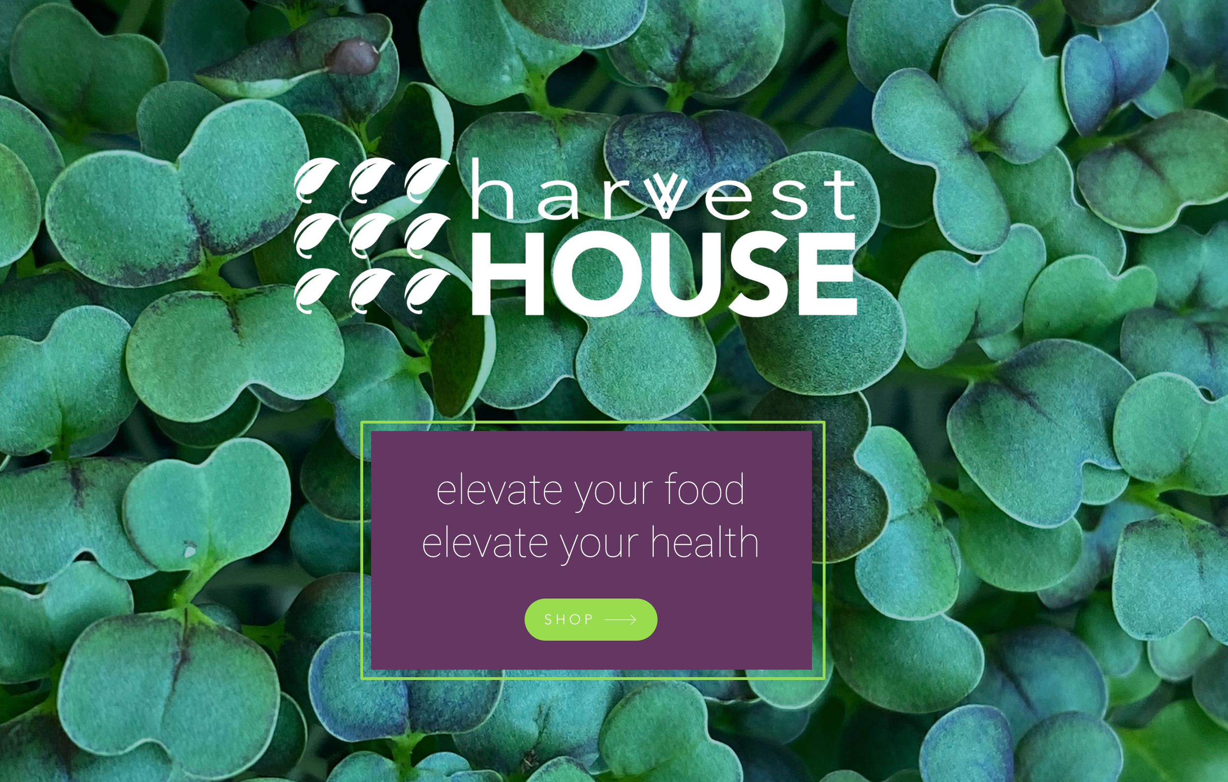 Harvest House in Friendsville, MD