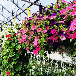 Sterling Mercantile & Garden Center in Sturgeon Bay, WI