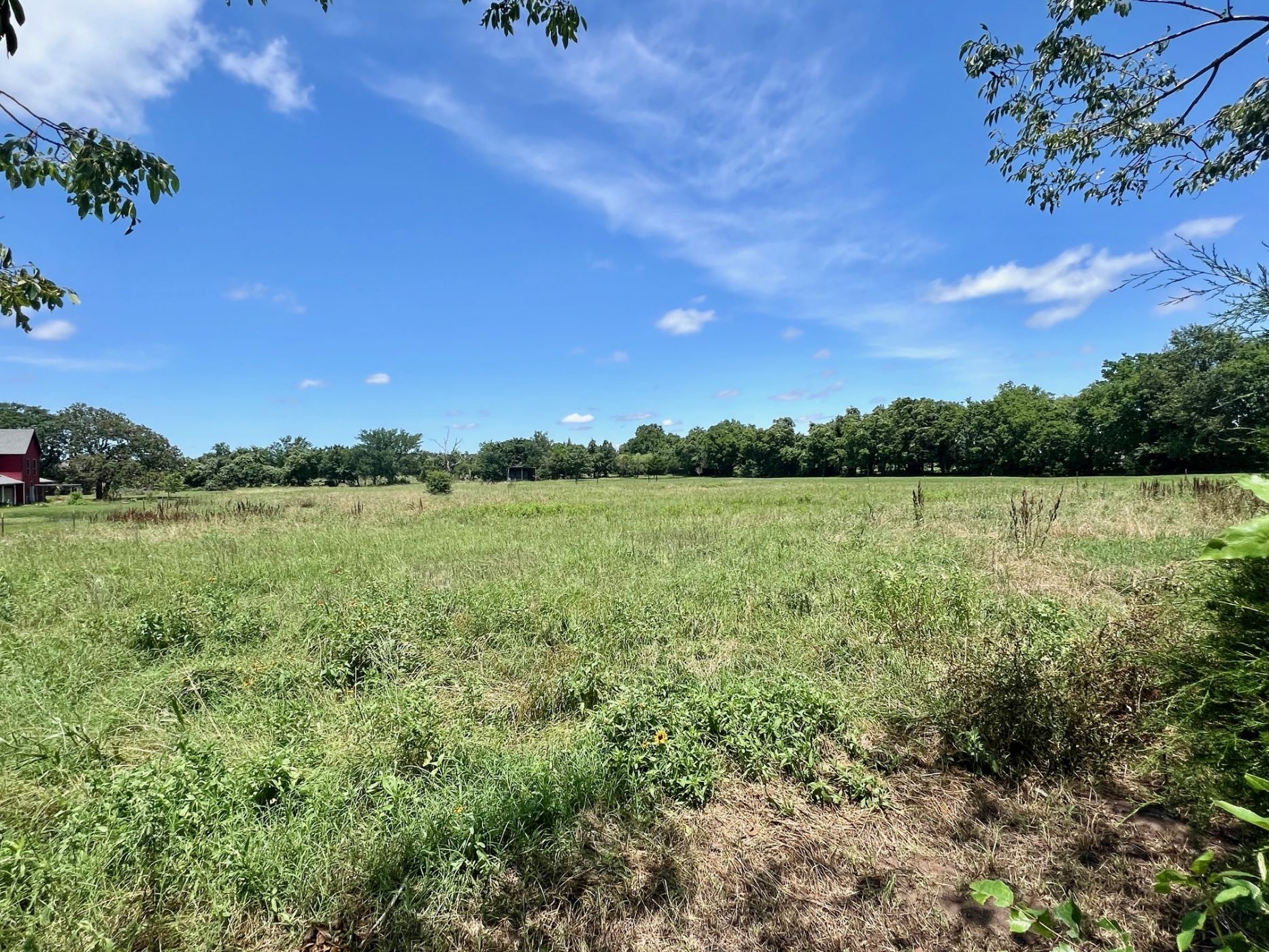 Hottinger Real Estate Inc in Terrell, TX (5)