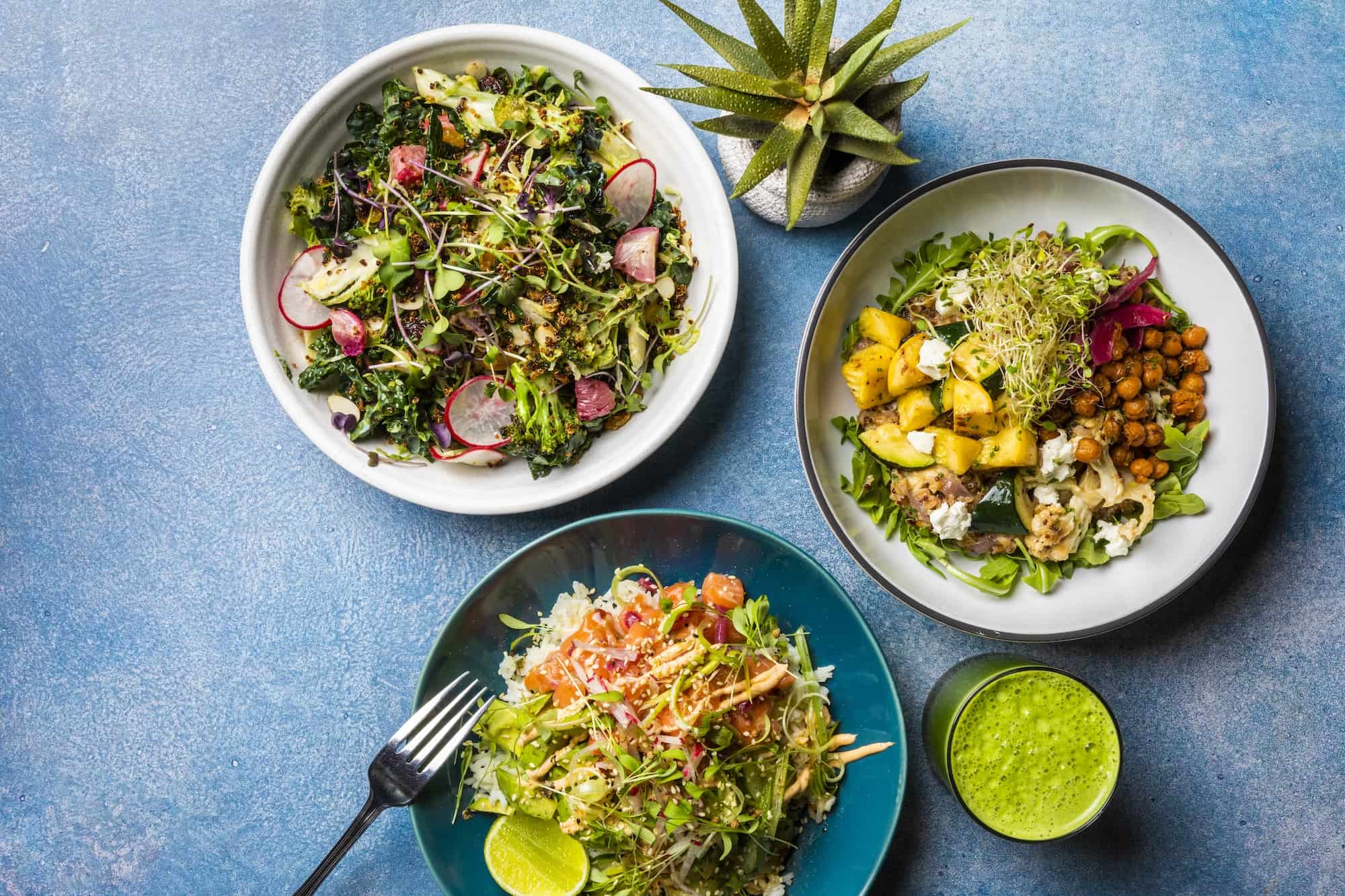 Dish Society in Houston, TX