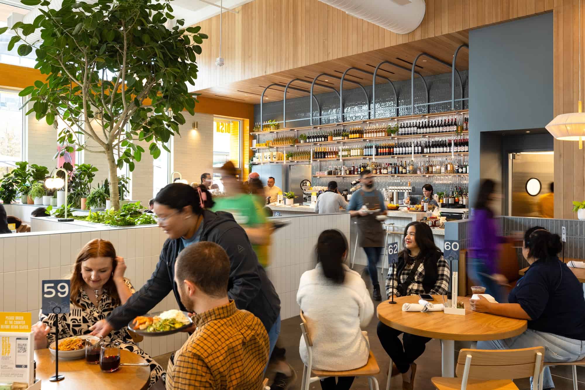 Dish Society in Houston, TX (4)