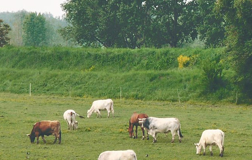 The Farmhouse Exchange in Thurmont, MD (3)