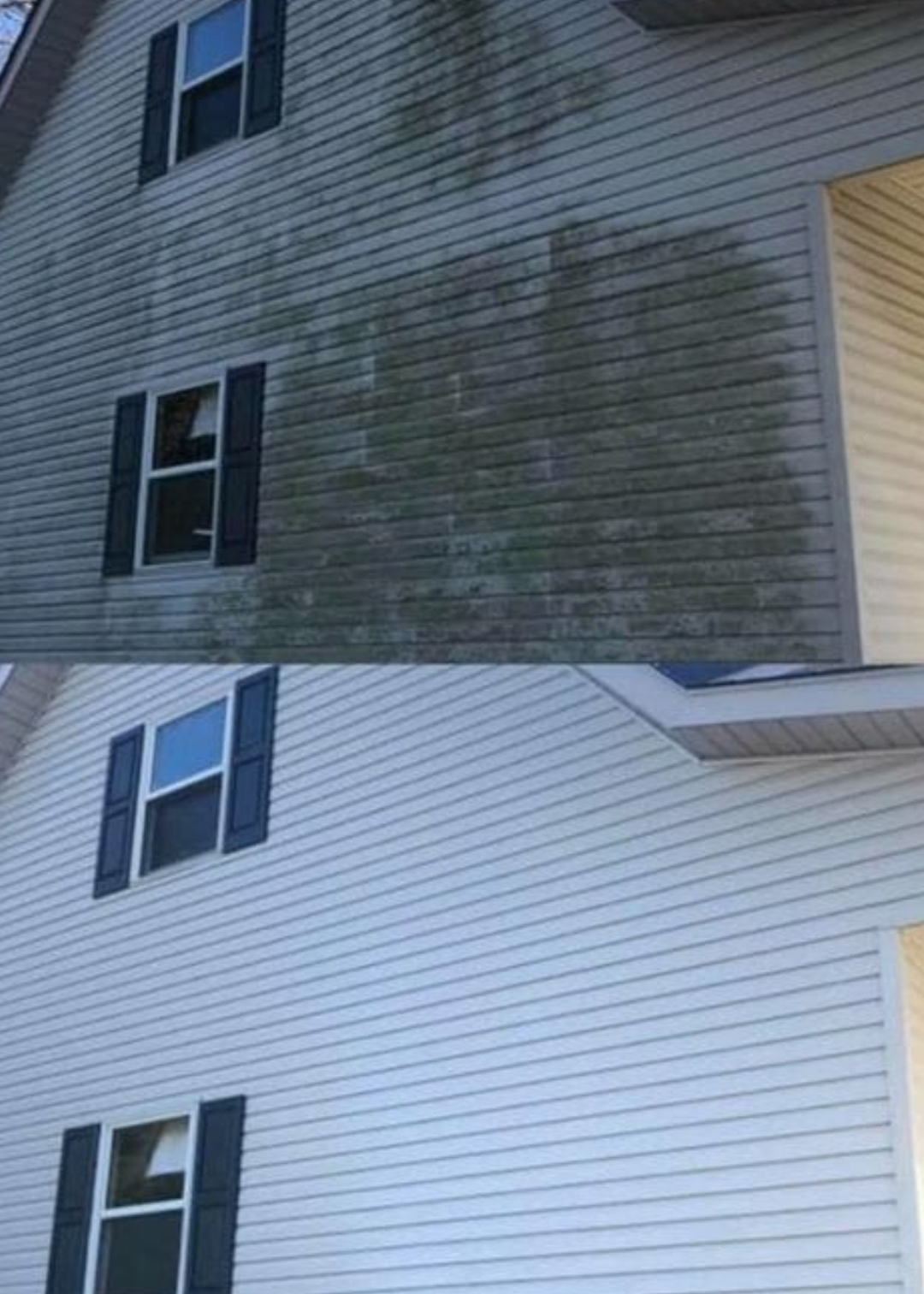 Pro Detail llc in Fenelton, PA (3)