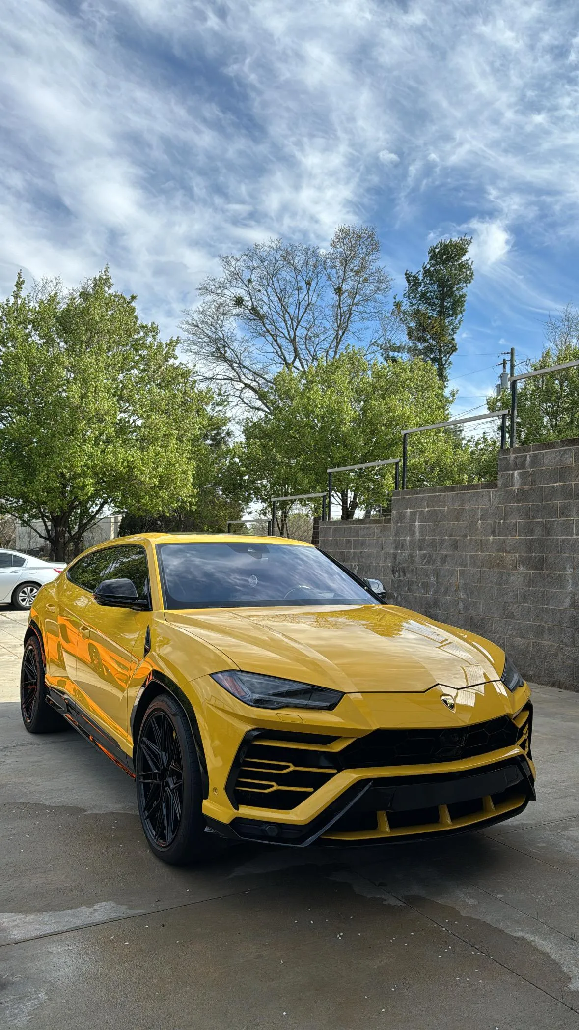 Divin Detail - Ceramic Coating and Window tinting in Inman, SC (2)