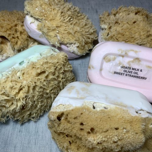 Lori's Soap Shop in Tarpon Springs, FL (3)