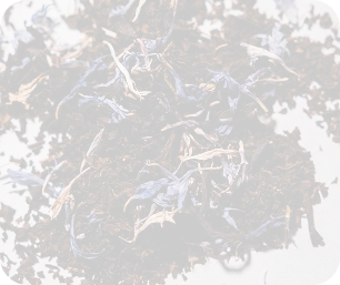 SerendipiTea in Manhasset, NY (4)