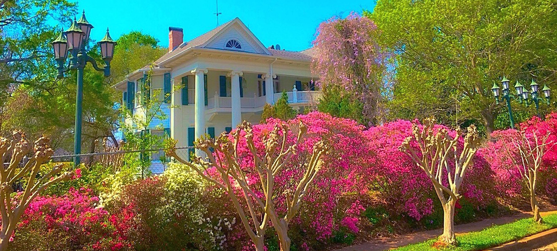 Jacque Johnston, REALTOR in Palestine, TX (2)