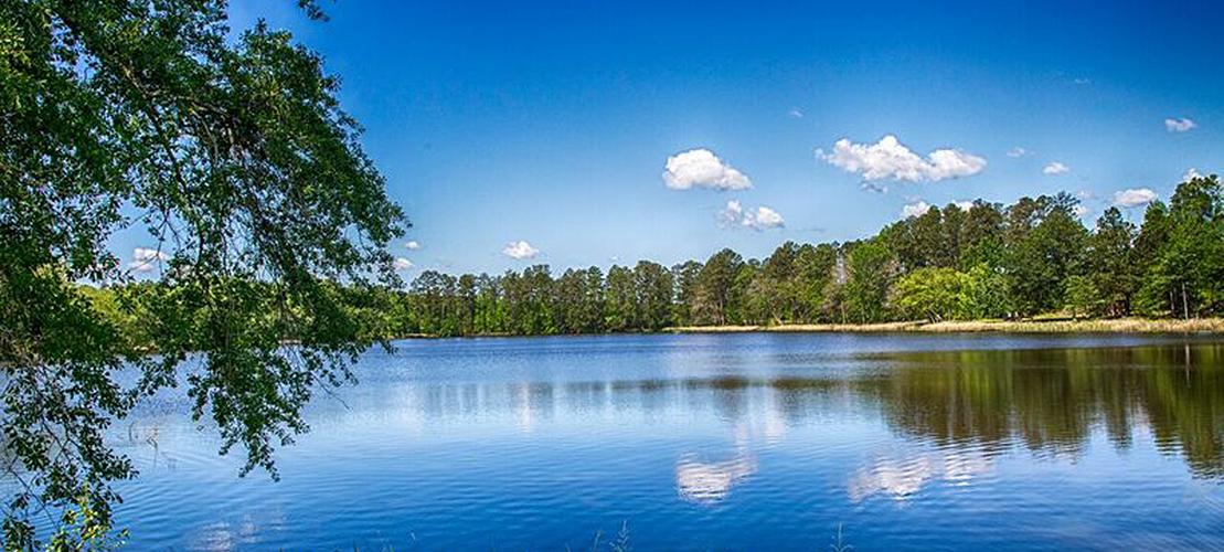 Jacque Johnston, REALTOR in Palestine, TX (3)