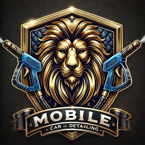 John Details (Mobile car Detailing Business in BCS) in Bryan, TX (2)