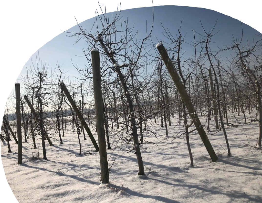 Catoctin Mountain Orchard in Thurmont, MD (2)