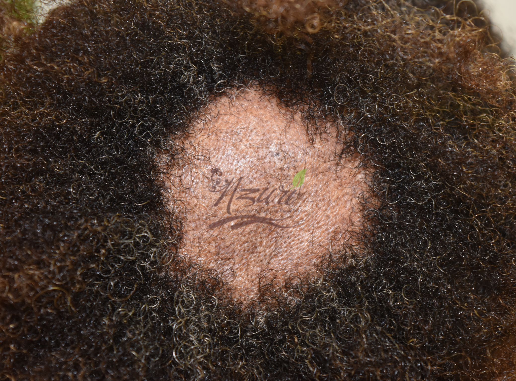 Nzuri Hair Care and Wellness Products in Stafford, TX