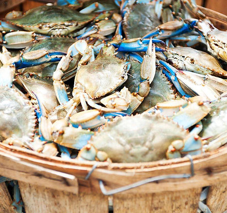 Water Street Seafood in Havre De Grace, MD (2)