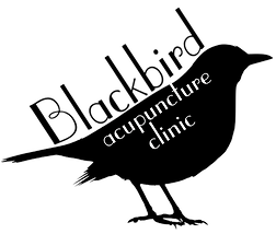 Blackbird Acupuncture Clinic in Rice Lake, WI (2)