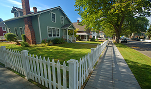 Waldron Jay in Delaware, OH (6)