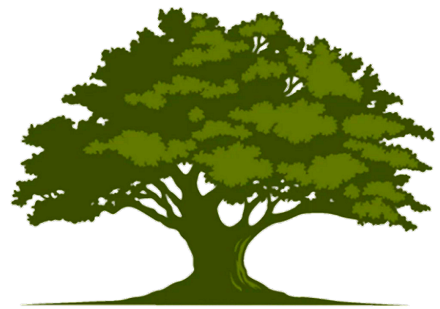 Liberty Oak Law Firm, LLC in Hilton Head Island, SC (2)