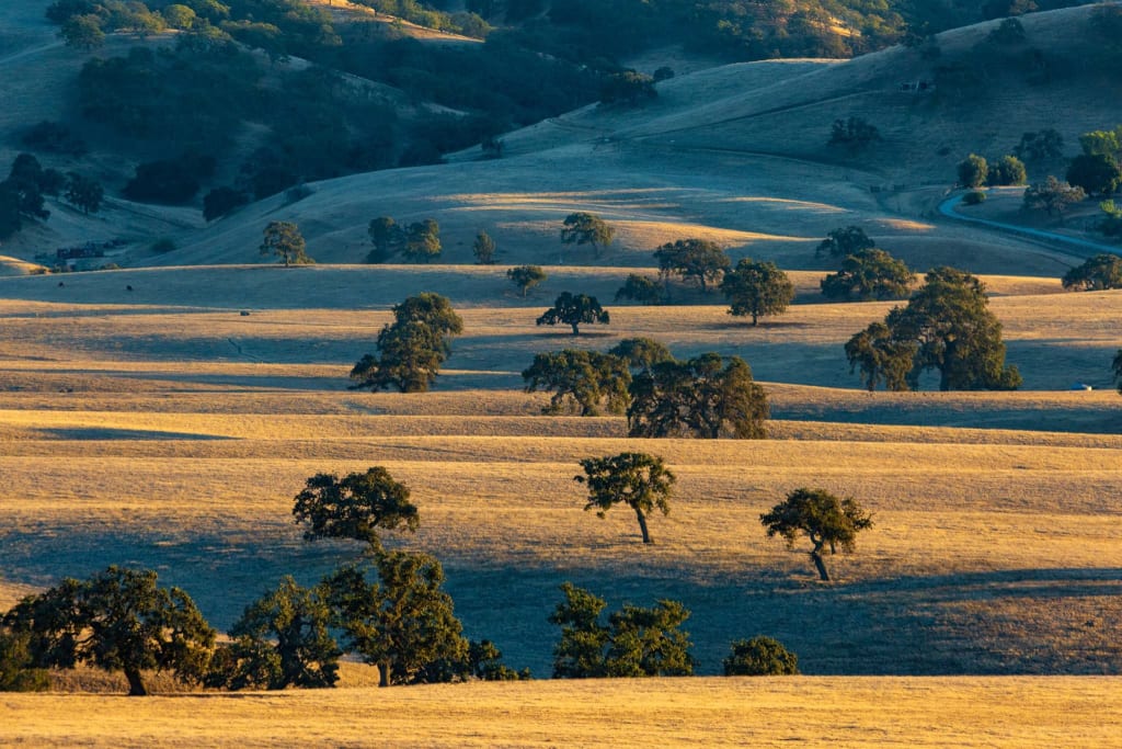 NINO REAL ESTATE INC. in San Juan Bautista, CA (3)